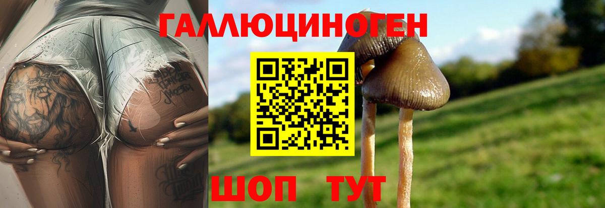 Псилоцибиновые грибы ЛСД  Вход с VPN  Кстово 