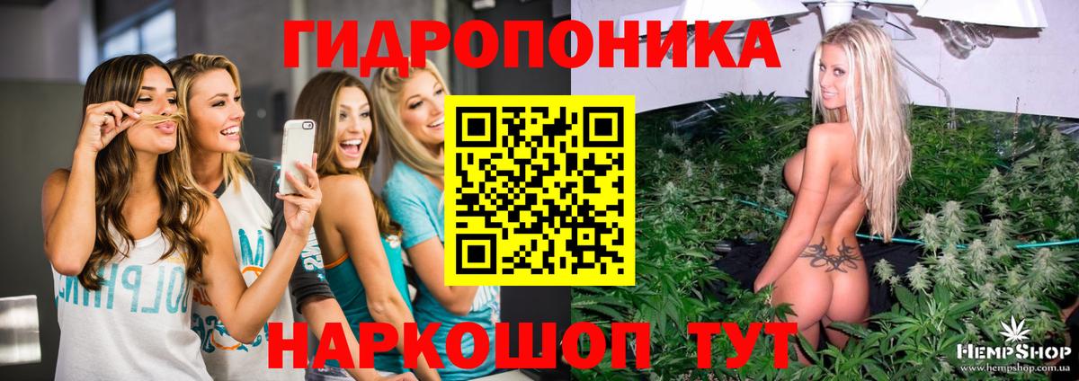 Кстово  Канабис тримм  Бошки марихуана SATIVA & INDICA  Бошки Шишки Bruce Banner  Вход с VPN 